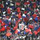 Football. Billetterie : OL-Vigo en souffrance, OL-Monaco s’envole